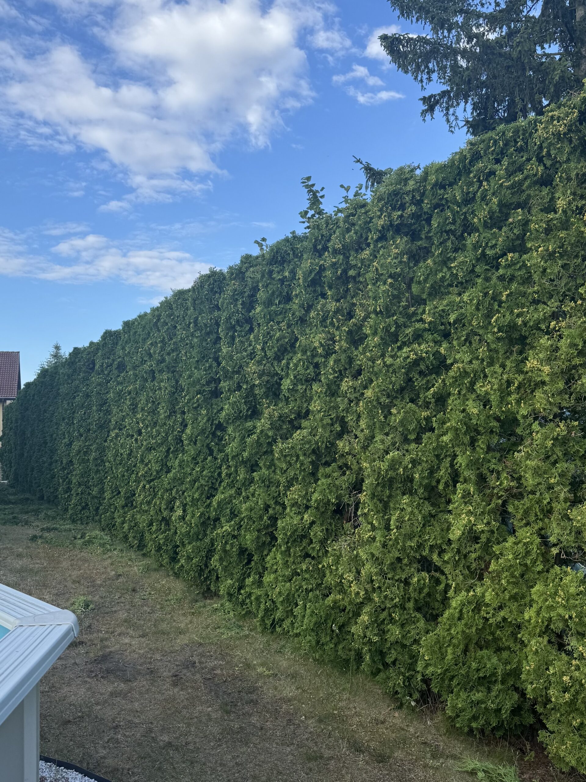 O nas - Braskil Szczecin